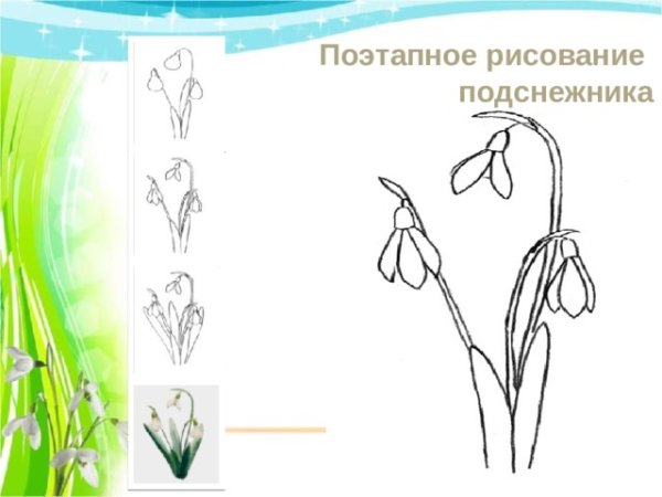 Рисование подснежники