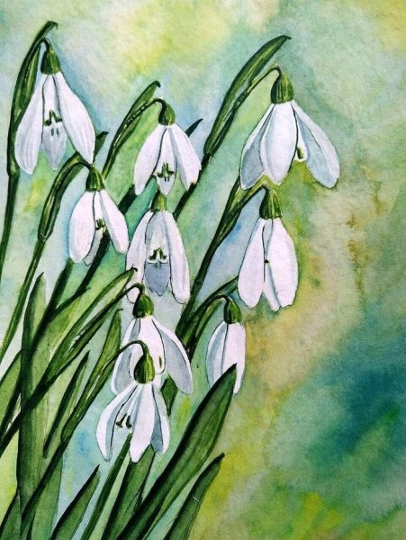 Подснежники рисунок