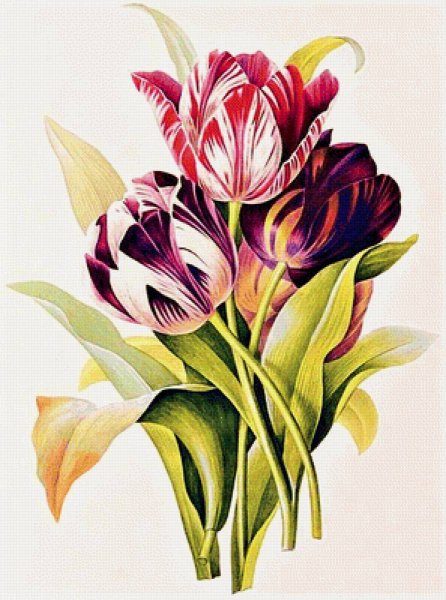 Botanical Art nouveau - anton Seder