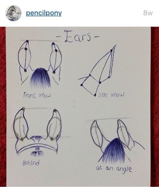 Нарисовать уши лошади