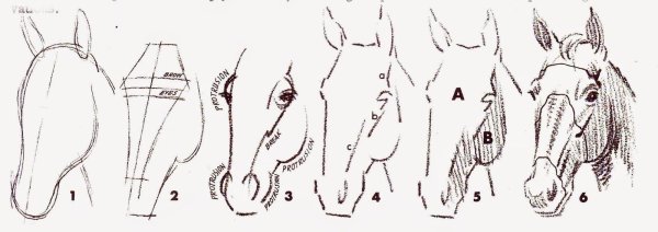 Лошадь анфас рисунок