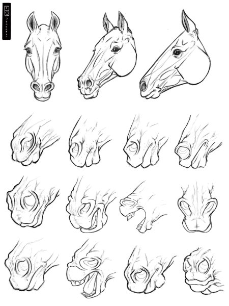 Нарисовать уши лошади