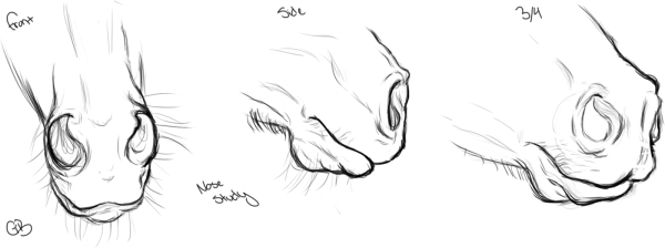 Уши коня рисунок