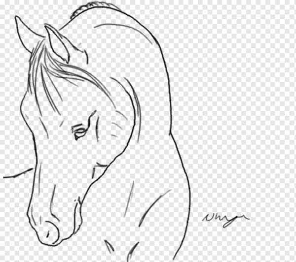 Голова лошади референс