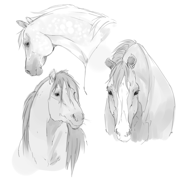 Туториал по рисованию ушей лошади