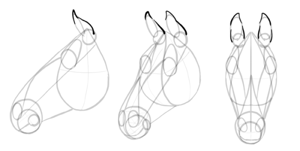 Глаз лошади карандашом