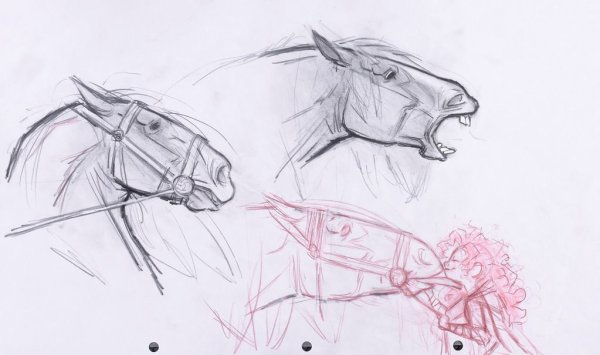 Анатомия морды лошади