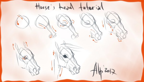 Лошадь туториал морда