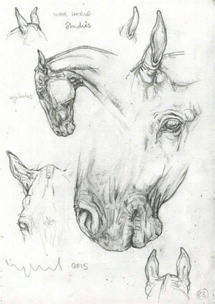 Морда лошади для аппликации