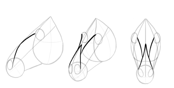 Строение морды лошади