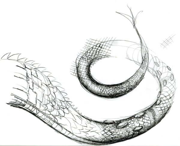 Хвост дракона карандашом