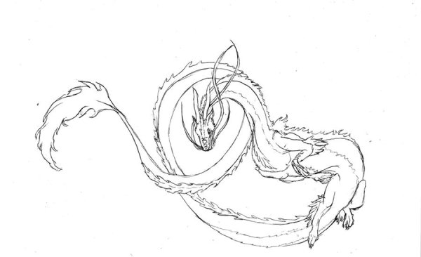 Китайский дракон анатомия