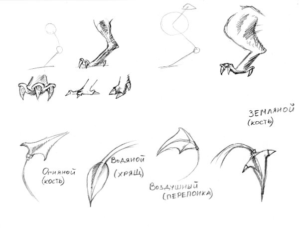 Хвост дракона карандашом