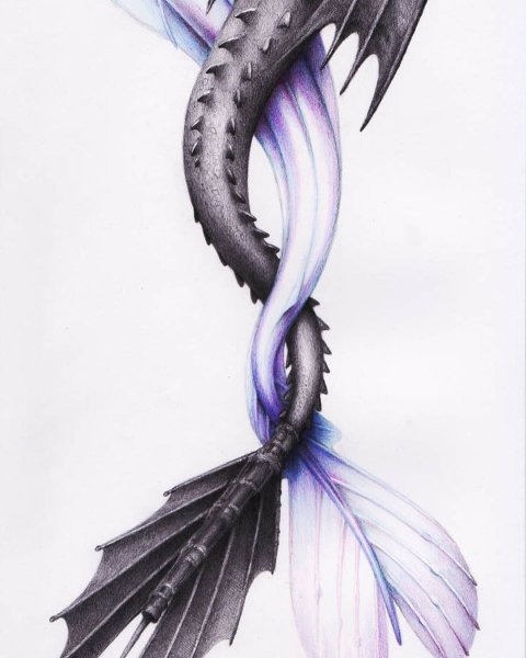 Хвосты драконов