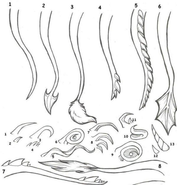 Хвосты драконов референс