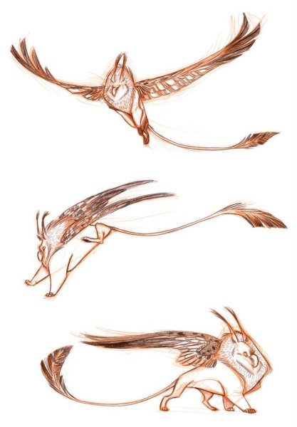 Хвосты референс мифических существ