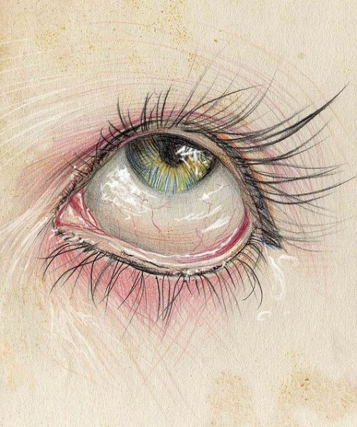 Сосудистый рисунок на глазах