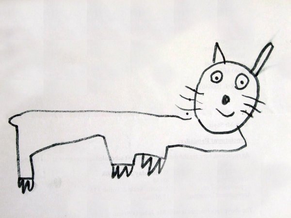 Рисование кривых линий или форм.