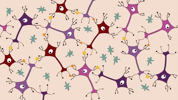 Нейроны мозга