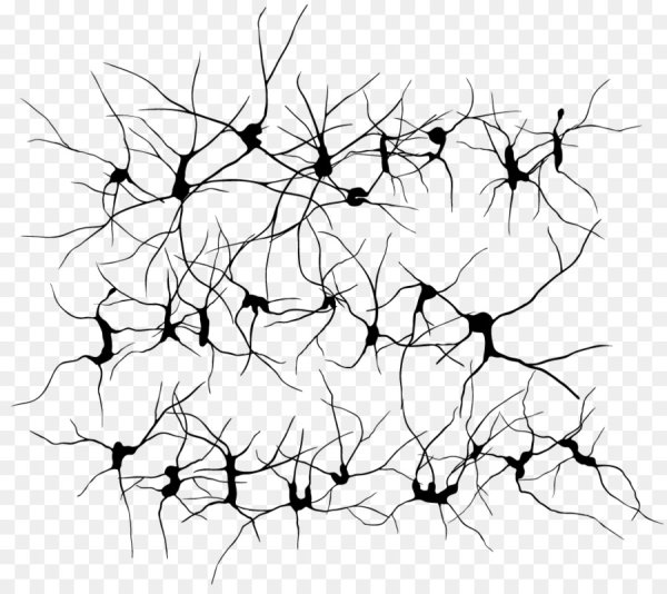 Нейронные линии