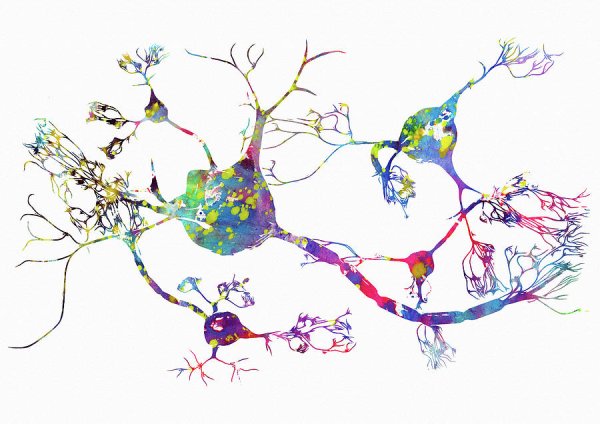 Нейронный ансамбль