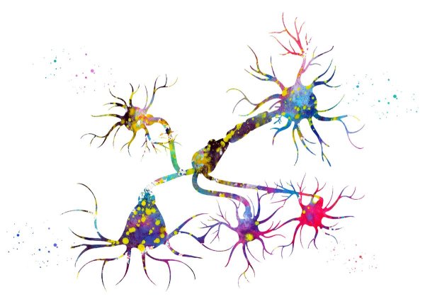 Нервная клетка арт