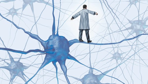 Нейронная сеть мозга