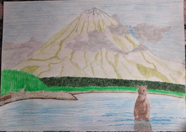 Камчатка рисунок