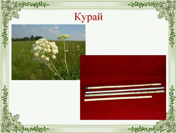 Курай символ Башкортостана