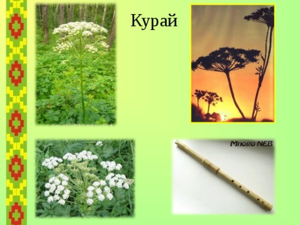 Башкирский орнамент курай