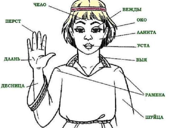 Историзмы и архаизмы