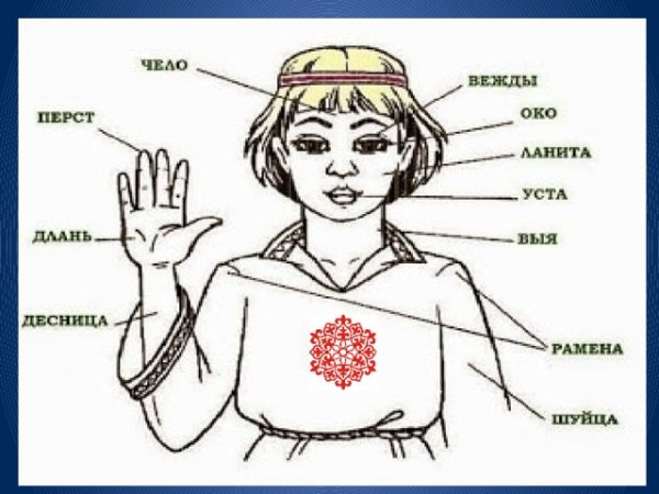 Человек архаизмы