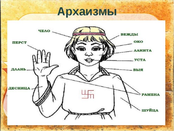 Устаревшие названия частей тела