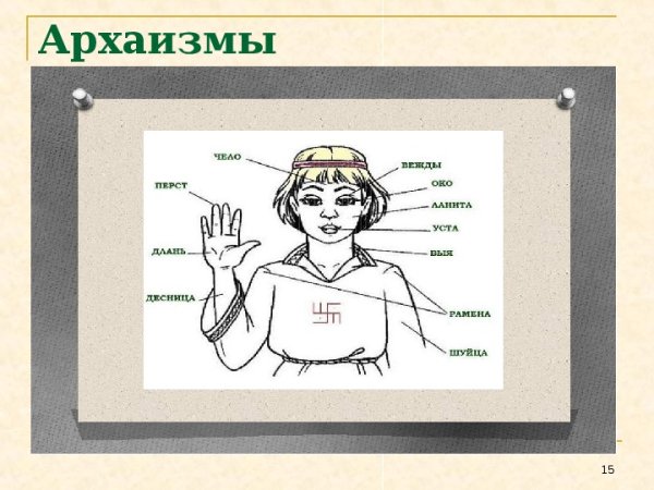 Историзмы и архаизмы рисунки