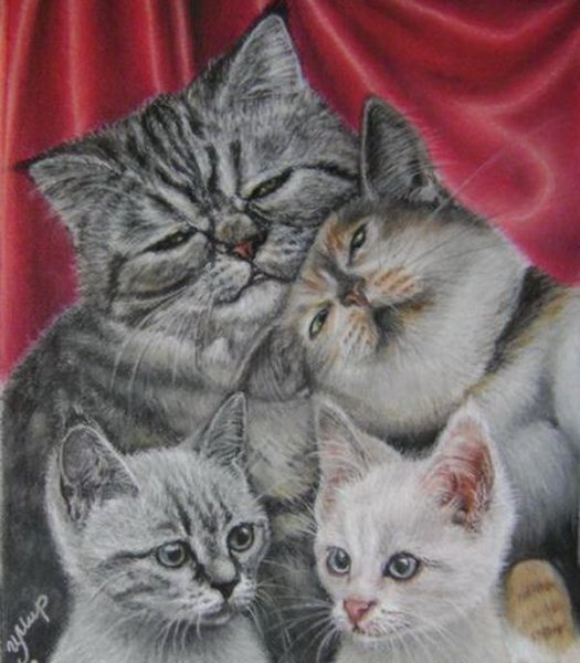 Кошачья семейка