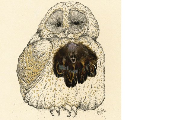 Лапы Совы рисуем