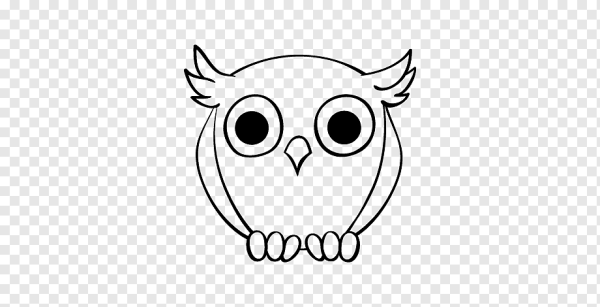 Анатомия Совы для рисования