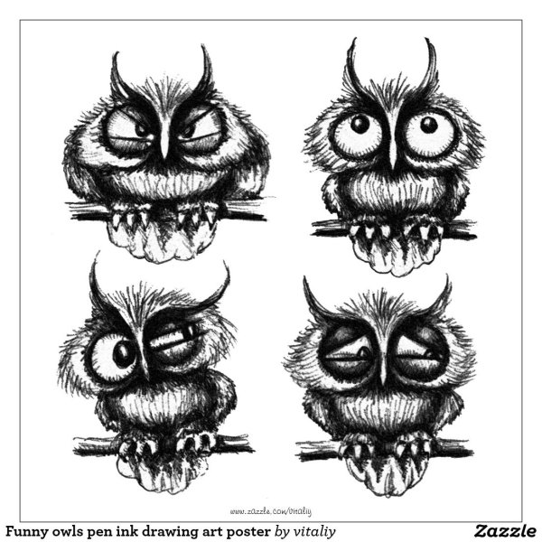 Анатомия Совы для рисования