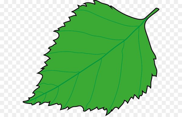 Листья раскраска