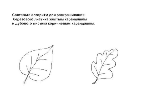 Очертания зеленых листьев