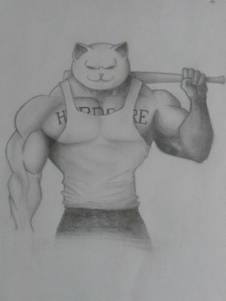 Кот качок Добряк