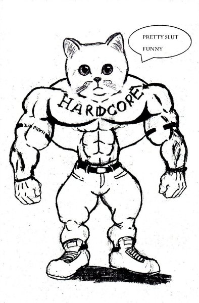 Кот качок арт