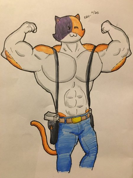 Мистер Кэт ФОРТНАЙТ