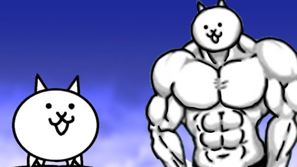 Кот Бог батл кэтс