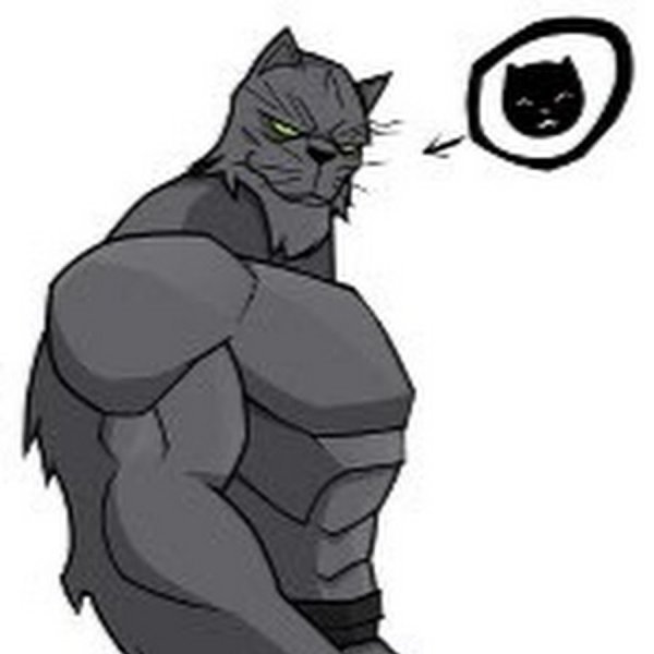 Накаченный котик