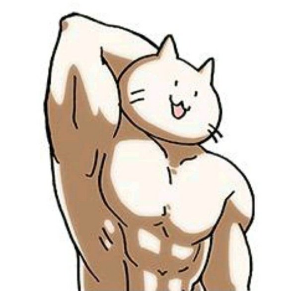 Накаченный кот