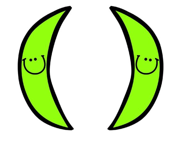 Круглые скобки