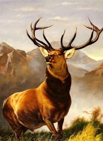 Олень маслом