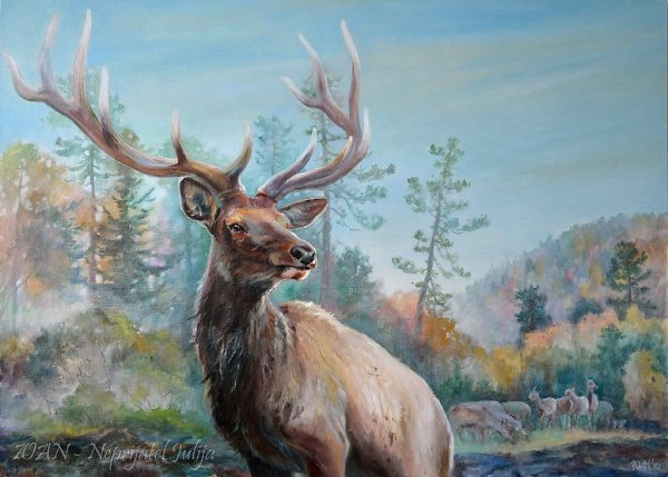 Новоселов. Санькин Марал.