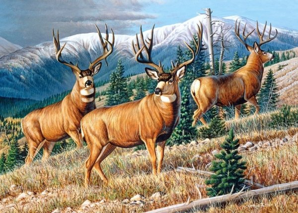 Касторленд пазл олени 1000